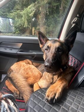 Meet your Posher, Kota